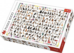 Puzzle: 208 koček 1000 dílků