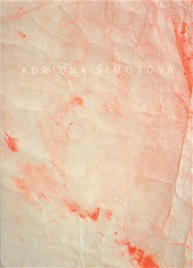 Adriena Šimotová: Hosté, tvorba z let 2000 - 2006