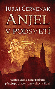 E-kniha Anjel v podsvetí