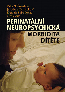 E-kniha Perinatální neuropsychická morbidita dítěte
