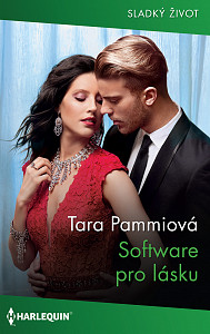 E-kniha Software pro lásku