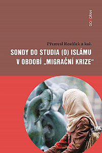 E-kniha Sondy do studia (o) islámu v období 