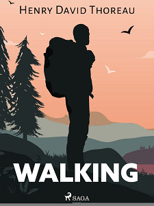E-kniha Walking