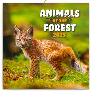 Poznámkový kalendář Zvířátka z lesa 2025, 30 × 30 cm