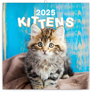 Poznámkový kalendář Koťata 2025, 30 × 30 cm